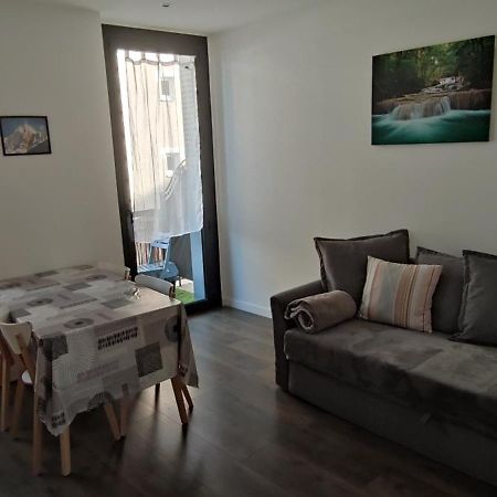 Logement Tout Confort Au Coeur De La Haute-Savoie - Le Barycentre La Roche-sur-Foron Exterior foto