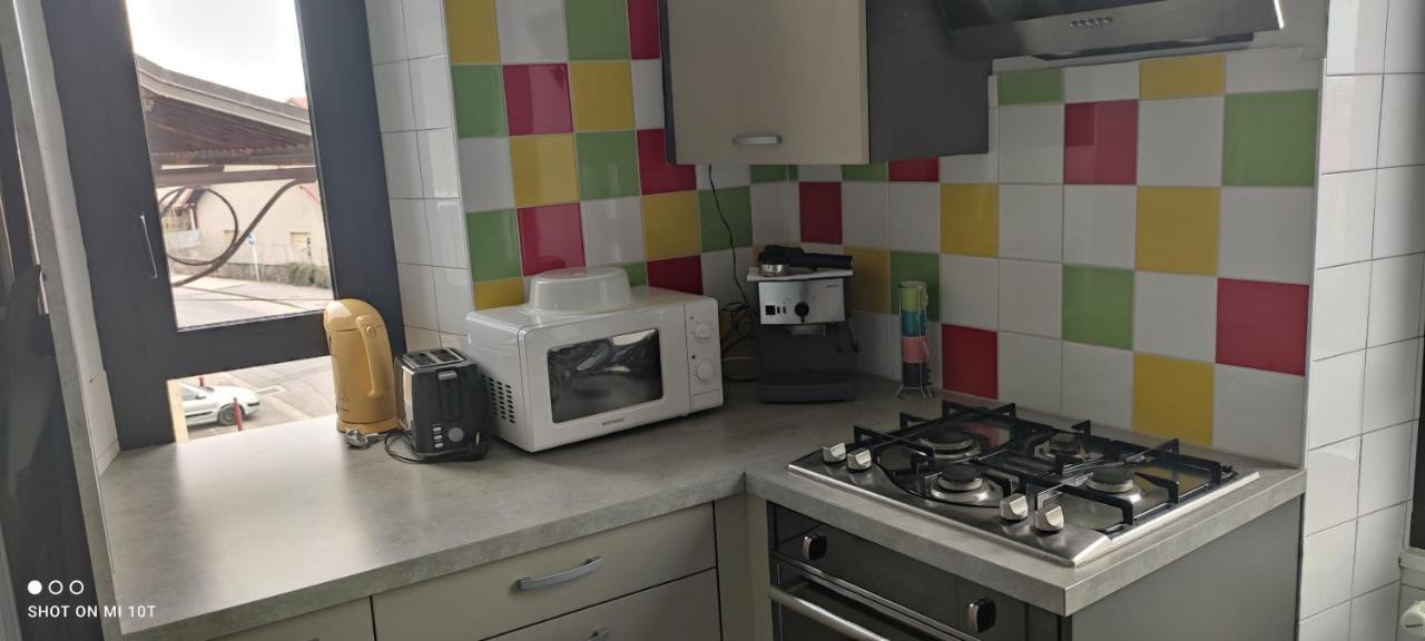 Logement Tout Confort Au Coeur De La Haute-Savoie - Le Barycentre La Roche-sur-Foron Exterior foto